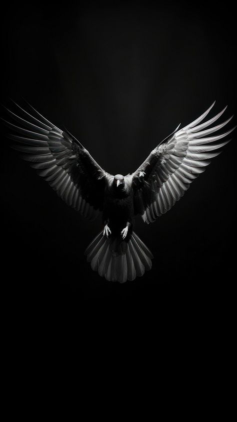 Black Bird Wallpaper, Dark Nature Photography, Champion Tattoo, Angel Wallpapers, Birds Flying Photography, Scary Birds, Bird Black And White, Swift Bird, Flying Angel