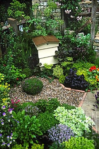 AJ501040- BEE HIVE IN EDIBLE HERB GARDEN AT RHS CHELS : Asset Details -Garden World Images Beehive Garden Design, Gravel Planting, Beehive Garden, Beekeeping Business, Bee Apiary, Small Beds, Honey Bee Garden, Backyard Bee, Garden World