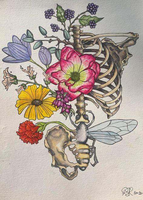 Rib Cage Flowers, Rib Cage Drawing, Cage Drawing, Skeleton Vintage, Skeleton Drawings, Gcse Art Sketchbook, Halloween Room, Halloween Room Decor, Human Anatomy Art