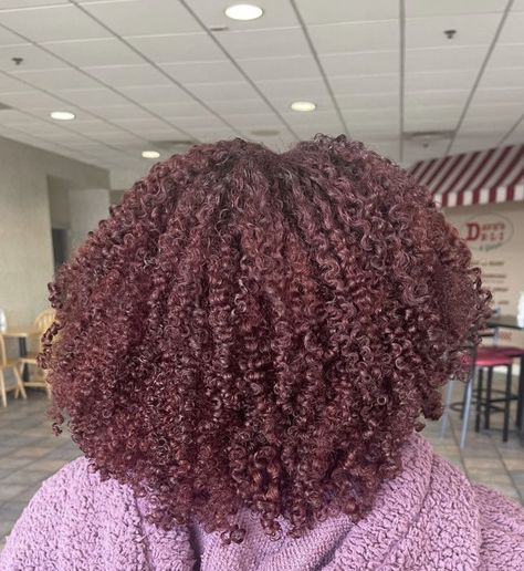 natural hair, 3c/4a, red curly hair, burgundy hair, curls Burgundy Natural Hair, Burgundy Curly Hair, Cherry Red Hair Color, Burgundy Brown Hair, Dark Burgundy Hair, Burgundy Red Hair, Burgandy Hair, Deep Red Hair, Cherry Hair Colors