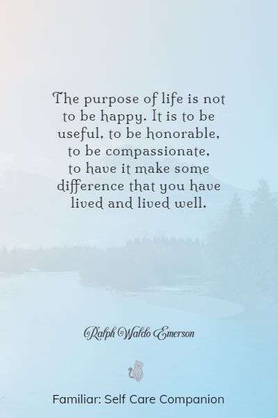 Found My Purpose Quotes, Soul Searching Quotes Purpose My Life, Your Purpose Quotes, Soul Purpose Quotes, Purpose Quotes Inspiration, Soul Searching Quotes, Finding Purpose In Life, Purpose Quotes, Poetic Quote