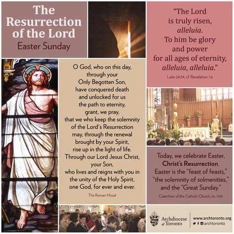 Archdiocese of Toronto on Twitter: "#Infographic: Easter Sunday - "The Lord is truly rise, #alleluia!" https://t.co/X9Fh8VKowz… " Easter Octave, Catholic Liturgical Calendar, Lent Ideas, Catholic Easter, Catholic Lent, Liturgical Living, Monday Greetings, Lent Prayers, Spiritual Angels