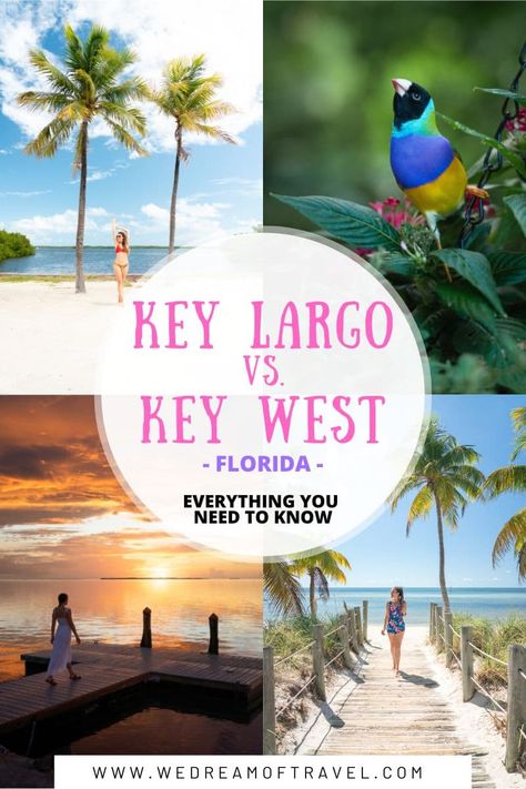 Discover everything you need to know about Key West vs. Key Largo to help you plan your perfect Florida Keys vacation. Key Largo Outfit Ideas, What To Pack For Key West Vacation, Things To Do In Key Largo Florida, Key Largo Florida Things To Do In, Flordia Keys, Bungalows Key Largo Florida, Keys Aesthetic, Hotels In Key Largo, Key West Travel Guide