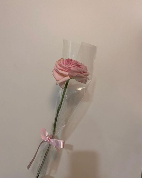 Single Pink Rose, Flower Arragement, Rosé Gif, Flower Bouquet Diy, Cheap Flowers, Flower Gift Ideas, Crochet Bouquet, Gift Box Design, Flower Shower