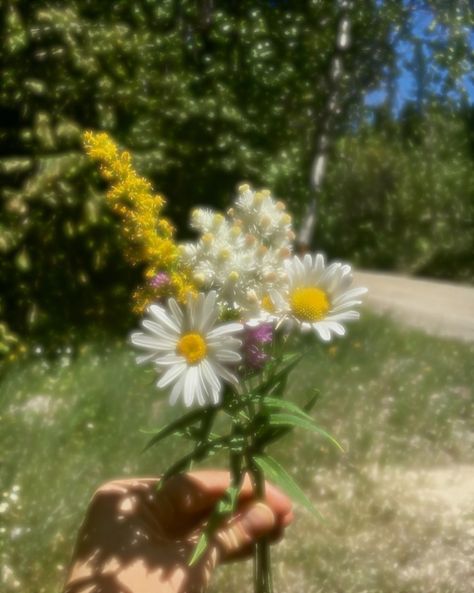 #bouquet #flowers #wildflowers #summertimesadness #nostalgia #childhood #daises #pickingflowers #freshflowers Daisy Asthetic Picture, Picked Wild Flowers, Wild Flower Asthetics, Blue Butterfly Wallpaper, Picking Flowers, Flower Picks, Butterfly Wallpaper, Light Of My Life, Flower Field