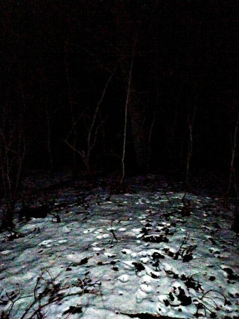 Scary Snow Aesthetic, Eerie Snow Aesthetic, Snow Forest At Night, Forest Night Photography, Creepy Snow Aesthetic, Snowy Woods Night, Creepy Snowy Forest, Cabin In Winter Woods, Scary Winter Aesthetic