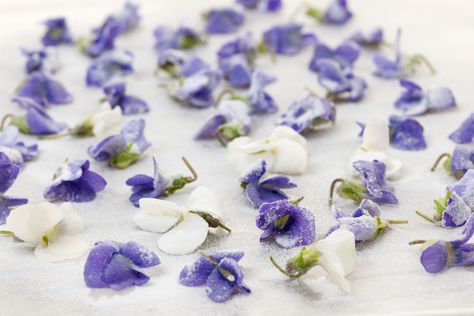 Candied Violets - Healthy Green Kitchen Petunia Dursley, Candied Flowers, Candied Violets, Hawaiian Cake, Vegan Egg Substitute, Functional Crafts, Decorating Easter Baskets, Lemon Squares, Violet Aesthetic