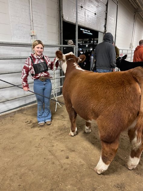 Cow Show Outfit, Cute Livestock Show Outfits, 4h Outfits, Showing Livestock Outfits, 4h Steer Pictures, Livestock Show Outfits Sheep, Cattle Show Outfits, Stock Aesthetic, Cow Showing