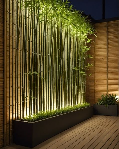 Small Wall Fountain Outdoor, Indoor Garden Wall Ideas Living Rooms, Patio Accent Wall Outdoor, Outdoor Bamboo Wall, Bamboo Planters For Privacy, Small Patio Garden Design, Minimalist Garden Ideas Landscape Design, Garden Focus Point Ideas, Small Indoor Garden Ideas