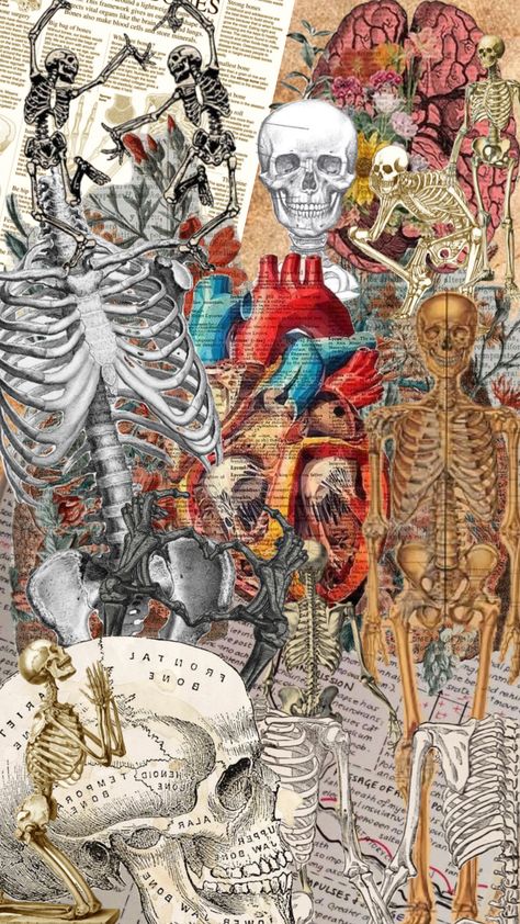 #skeleton #bones Vintage Medical Art, Macbook Wallpaper Aesthetic, Medical Artwork, Textiles Sketchbook, Medical Posters, Medical Wallpaper, Biology Art, Aesthetic Medicine, Skeleton Bones