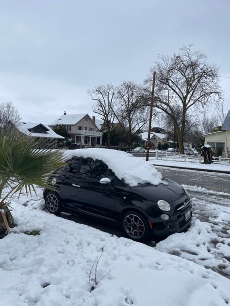 Fiat 500 Black, New Fiat, Mini Car, First Car, Mini Cars, My Dream Car, Cute Cars, Fiat 500, Dream Car