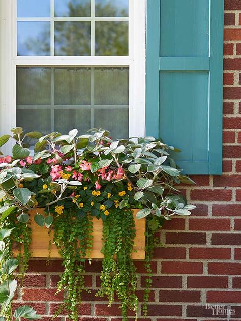 How to Build Custom Cedar Shutters Diy Exterior, Cedar Shutters, Diy Curb Appeal, House Shutters, Garden Obelisk, Home Improvement Ideas, Box Flowers, Window Box Flowers, Plant Box