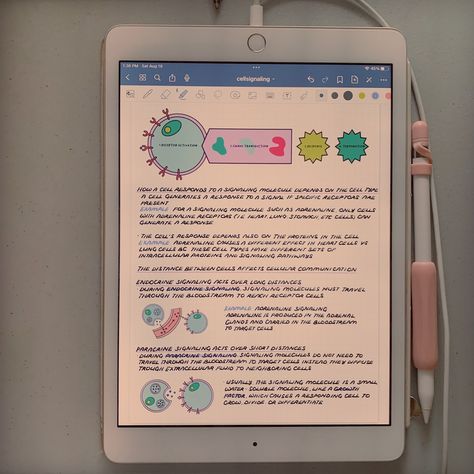 Biology: More Notes on Cell Signaling⁠ .⁠ .⁠ .⁠ 💌 Want to support me? Keep in touch on Instagram, Medium, Pinterest, and Twitter. Link in bio.⁠ 💌 Want to work with me? Send a DM or business inquiry to 131217net@gmail.com.⁠ .⁠ .⁠ .⁠ 🏷️ #131217net #digitalnotes #ipadnotes #goodnotes #studygram Cell Signaling, College Dorm Room Inspiration, Twitter Link, M Learning, Dorm Room Inspiration, Work With Me, Learning Science, Science Biology, The Cell