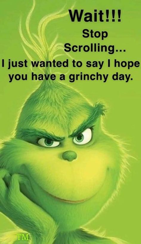 Grinch Pumpkin Carving, What Is Your Grinch Name, Grinch Images Pictures, Thats It Im Not Going Grinch, That’s It I’m Not Going Grinch, Christmas Quotes Grinch, Grinch Memes Funny, Grinch Memes, Merry Freaking Christmas Grinch