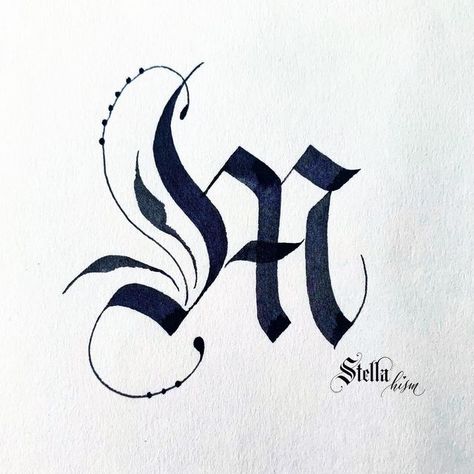 Stellating on Instagram: "My Gothic Capital M - Ikebana collection #cmalphabet_day13 #cmalphabetchallenge #calligraphymasterschallenges21" Tattoo Lettering Design, Gothic Fonts, Lettering Practice, Illuminated Letters, Calligraphy Letters, Chalkboard Art, Graffiti Lettering, Tattoo Lettering, Ikebana