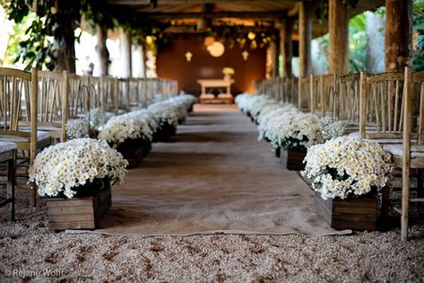 Wedding Walkway, Potted Mums, Wedding Aisle Outdoor, Mums Wedding, White Mums, Wedding Isles, Aisle Runner Wedding, Outdoor Walkway, Aisle Flowers