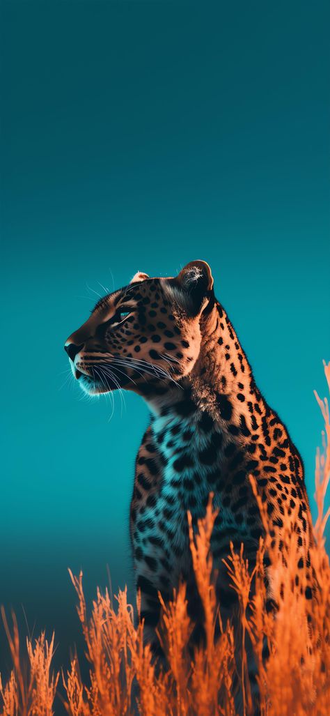 Jaguar Pictures, Cheetah Pictures, Jaguar Wallpaper, Best Wallpaper For Mobile, Cheetah Wallpaper, Cute Owls Wallpaper, Joker Iphone Wallpaper, Iphone Wallpaper Lights, Iphone Wallpaper Video