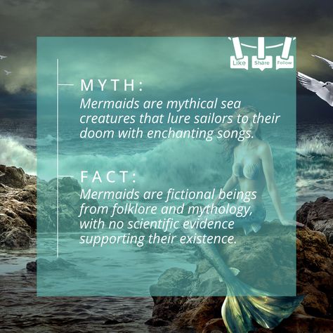 Have you seen a mermaid? Or your grandparents just told you the story of mermaids? Are mermaids real or just a legend? Dive into the captivating world of mermaid myths and facts. Explore historical sightings, cultural stories, and scientific perspectives.   Like & share for more!!  #MermaidMyths #MermaidFacts #Fantasy #OceanMysteries #MermaidLegends #Mythology #SeaCreatures #UnderwaterWorld Mermaids Real, Mythical Sea Creatures, Myths And Facts, Biology Facts, Real Mermaids, Mermaid Life, Ocean Conservation, A Mermaid, Underwater World