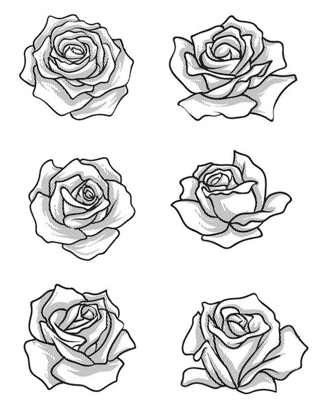 Rose linework Rose Linework, Rose Line Art, Tattoo Rose, Half Sleeve Tattoo, Tattoo Sketches, Small Tattoos, Sleeve Tattoos, Geometric Tattoo, Pen And Ink