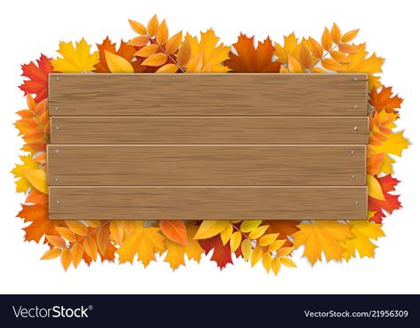 Autumn Tree Branch, Branch Vector, Fall Banner, Leaves Vector, Borders And Frames, Floral Poster, Flower Background Wallpaper, Maple Tree, Photoshop Backgrounds