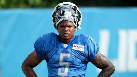 Lions' David Montgomery, girlfriend hit with lawsuit after alleged pitbull attack David Montgomery, Pitbull Attacks, Civil Lawsuit, In Law Suite, Detroit Lions, Thing 1 Thing 2, Tampa Bay, Pitbull, Hot Water