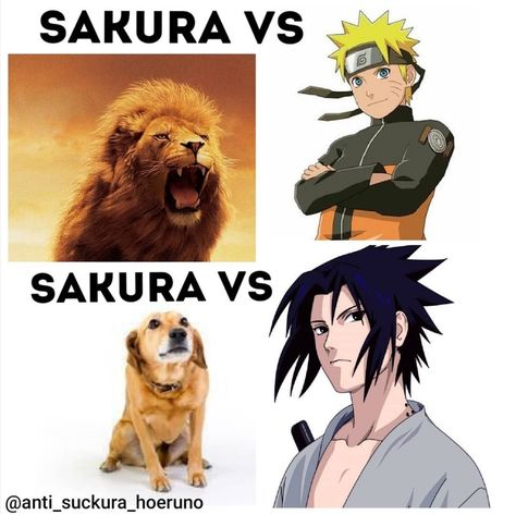 Anti Sasusaku, Naruto Funny, Hinata Hyuga, Sakura Haruno, Chris Evans, Anime Naruto, Anime Love, Naruto Shippuden, Naruto