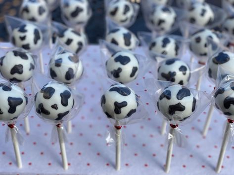 These cow print themed cake pops are a hit! Perfect little cows with marbled cake centers! Cow Print Cake Pops, Cow Print Cake, Cow Print Cakes, Cow Baby Shower Theme, Animal Cake Pops, Cow Print Birthday, Cow Cake, Cowboy Cakes, Cake Pop Designs