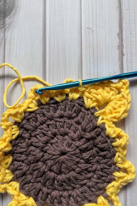 Sunflower Coaster Crochet Pattern - thecaffeinatedsnail.com Sunflower Crochet Coaster Pattern, Sunflower Coasters Crochet Free Pattern, Crochet Sunflower Pattern Free, Crochet Sunflower Coaster Pattern, Sunflower Coaster Crochet, Crochet Sunflower Coaster, Sunflower Crochet Pattern, Sunflower Coaster, Sunflower Coasters