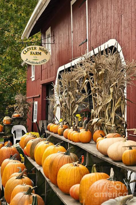 Autumn farm stand, Connecticut | John Greim, Fine Art America Fall Scenes, Everything Autumn, I Love Autumn, Pumpkin Farm, Fall Beauty, Fall Stuff, Autumn Love, Fall Is In The Air, Seasons Autumn