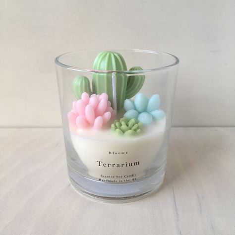 Cactus Candle, Cactus Candles, Succulents Candles, Candle Crafts Diy, Container Candles, Candle Craft, Candle Business, St Albans, Candles Crafts