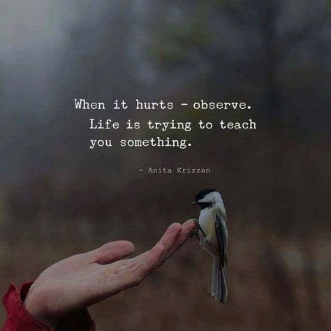 When It Hurts, Word Of Wisdom, Quotes Thoughts, Quotes Positive, Reality Quotes, A Quote, Infj, Beautiful Quotes, Meaningful Quotes