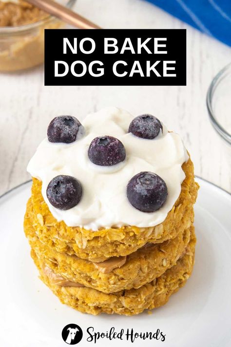 No Bake Dog Cake with peanut butter, pumpkin, oat flour, oats, and applesauce. Get the easy recipe and find out how to make the best cake for dogs with simple ingredients. This doggy cake has healthy ingredients with no preservatives. A no bake dog layer cake with peanut butter filling and yogurt frosting is great to make for dog birthday parties. #dogtreats #homemadedogtreats #diydogtreats #dogcake No Bake Dog Cake, Doggy Cake, Cake For Dogs, Yogurt Frosting, Dog Cake Recipes, Doggie Treats, Apple Sauce Recipes, Peanut Butter Pumpkin, Cake Frosting Recipe