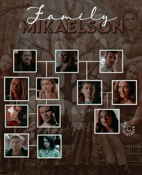 Elijah The Originals, Hayley And Elijah, Vampire House, Dark Fantasy Book, Mikaelson Family, Hayley The Originals, Teen Wolf Scott, Damon Salvatore Vampire Diaries, Vampier Diaries