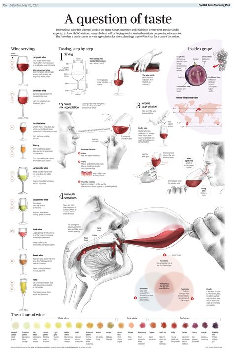 Art Du Vin, Wine Facts, Wine 101, Wine Knowledge, Wine Education, Different Wines, Wine Tasting Party, Wine Guide, Tasting Party