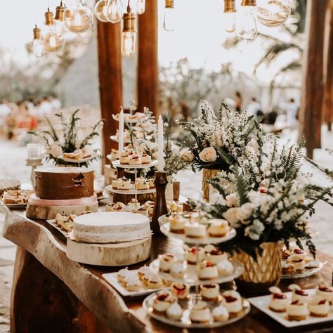 A Beautiful wedding in the middle of the Mamancana dry forest nature reserve.  in Santa Marta -Colombia. Colombia Wedding, Dry Forest, Santa Marta, Forest Nature, Dreamy Wedding, Nature Reserve, In The Middle, Beautiful Weddings, The Middle