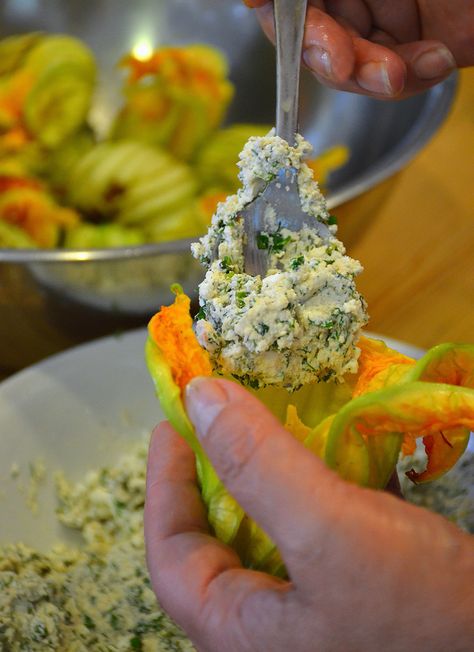 Greek Zucchini Recipes, Squash Blossom Recipe, Fried Squash Blossoms, Shared Dining, Fried Squash, Pumpkin Flowers, Edible Flowers Recipes, Zucchini Flowers, Zucchini Blossoms