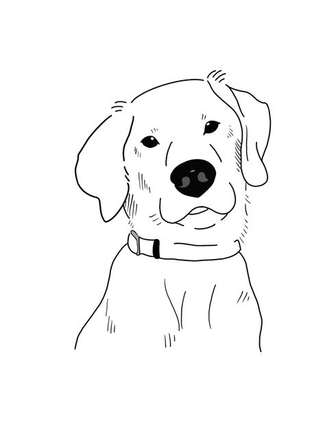 Black Lab Cartoon Drawing, Drawing Of Labrador, Punch Needle Drawing, Labrador Drawing Cartoon, Lab Dog Drawing, Labrador Drawing Simple, Easy Dog Drawing Simple, Draw Labrador, Dog Easy Drawing