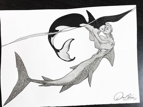 Orca Mermaid, Amazing Art Drawings, Orca Whales, Drawing Styles, Unusual Things, Whale Shark, Artistic Inspiration, Fashion Drawing, Amazing Art