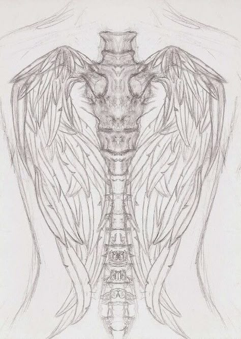 Skeleton Spine Tattoo, Wing Skeleton, Skeleton Spine, Angel Wings Tattoo On Back, Tattoos On Back, Wing Tattoos On Back, Female Tattoos, Funky Tattoos, Sharpie Tattoos