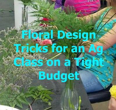 Sometimes you have to make your lesson work with what is available. Use these tricks to get more done with your floral design class. - OLT Agriculture Education Classroom, Greenhouse Design, Ag Teacher, Floral Design Classes, Design Tricks, Agriculture Education, Greenhouse Plans, Plant Science, White Gardens