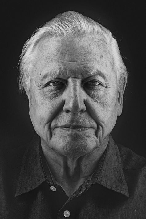 Sir David Attenborough. More than a national treasure. He is legendary, an icon. A staple on British screens for decades, transporting generation after generation to far-flung corners of the world Nadav Kander, Art Chicano, Famous Portraits, Tracey Emin, David Attenborough, Florence Welch, Jodie Foster, Boy George, Influential People