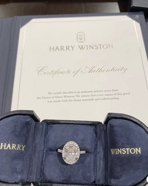 Harry Winston Engagement, Harry Winston, Food Jewelry, Old Lady, Dream Engagement, Dream Engagement Rings, Authentic Jewelry, Classy Jewelry, Expensive Jewelry