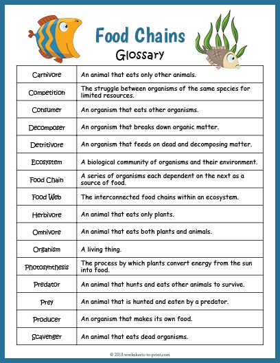 Help yourself or your students to learn 16 vocabulary words with this food chains glossary free for you to print. Food Chains Activities, Food Chain Anchor Chart, Ecosystem Vocabulary, Food Chain Project, Rainforest Food Chain, Science Food Chains, Food Chain Activities, Food Chain Worksheet, Food Web Activities