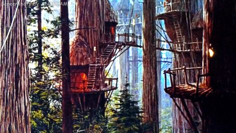 The Ewoks village... Best Tree Houses, Forest Moon Of Endor, Ewok Village, Ewoks Star Wars, Battle Of Endor, Wars Aesthetic, Swiss Family Robinson, Forest Moon, Tree House Diy