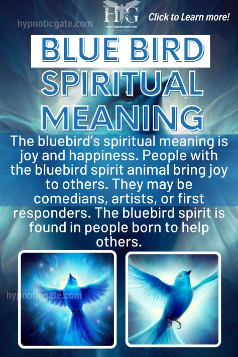 Blue Bird Spiritual Meaning Blue Bird Spiritual Meaning, Blue Bird Meaning, Blue Jay Meaning Spiritual, Blue Jay Spiritual Meaning, Blue Jay Meaning, Comic Zine, Universe Signs, Crow Spirit Animal, Bird Meaning