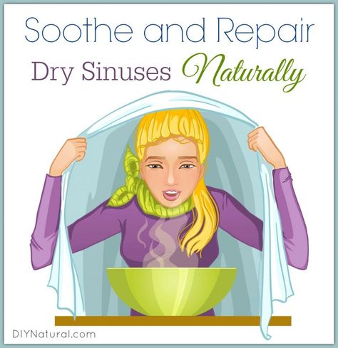 Dry Nose Dry Sinuses Clogged Nose Remedy, Dry Nose Remedy, Dry Sinuses, Sinus Remedies, Sinus Allergies, Stuffy Nose Remedy, Dry Nose, Sinus Problems, Cold And Cough Remedies