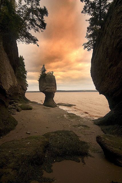 Hopewell Rocks, New Brunswick, Canada Eastern Canada Travel, Hopewell Rocks, East Coast Canada, East Coast Travel, East Coast Road Trip, New Brunswick Canada, Atlantic Canada, Fairy Queen, Hidden Beach