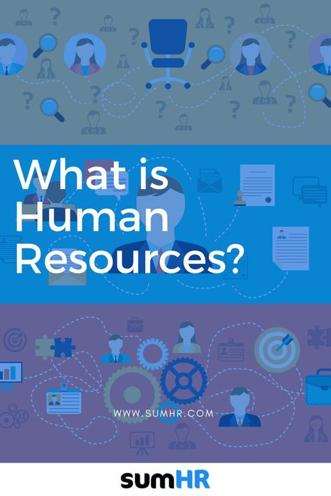 Human resources is a managerial activity that assists managers in recruiting, selecting, training and developing personnel for a business. It is focused on employee engagement in companies. The following aspects represent the core of human resources: Human Resources Jobs, Job Analysis, What Is Human, Human Resource Development, Job Satisfaction, Human Resource, Corporate Culture, Executive Coaching, Hr Management