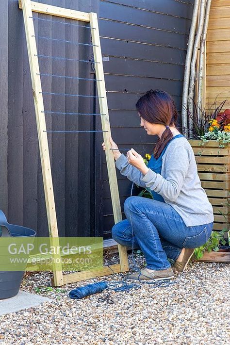 Woman feeding garden twine through holes in the wooden frame to create a trellis for plants to climb up. Wooden Trellis, Outdoor Trellis, Diy Trellis, Potager Garden, Garden Veggies, Plant Photography, Home Vegetable Garden, Rustic Garden Decor, Garden Trellis