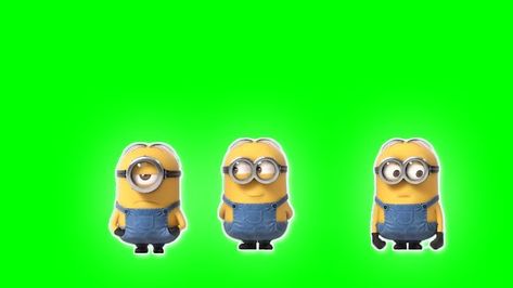 Despicable Minions, Green Screen Video, Green Screen Footage, Despicable Me Minions, The Minions, Screen Video, The Cartoon, Despicable Me, Green Screen